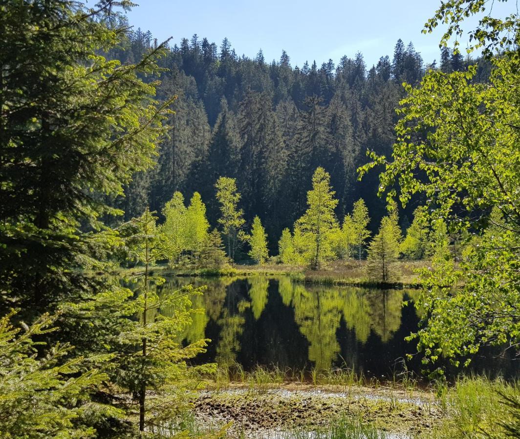Ferienwohnung Tannenballett Im Schwarzwald Baiersbronn Exterior foto