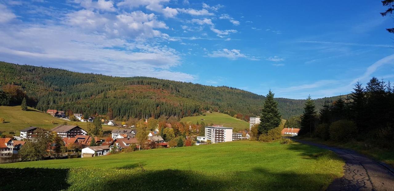 Ferienwohnung Tannenballett Im Schwarzwald Baiersbronn Exterior foto