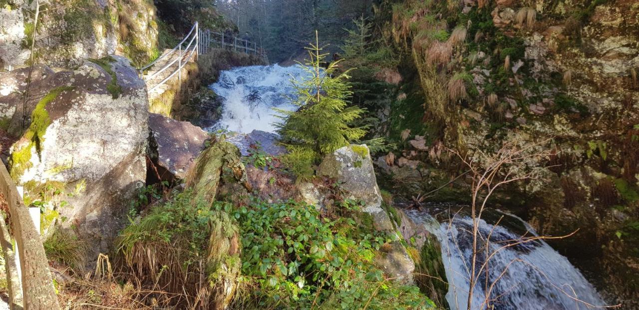 Ferienwohnung Tannenballett Im Schwarzwald Baiersbronn Exterior foto